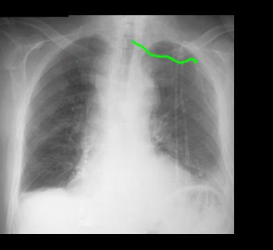 case7lab