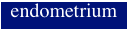 endometrium