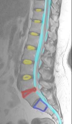 topic3image13