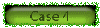 case4