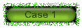 case1