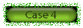 case4