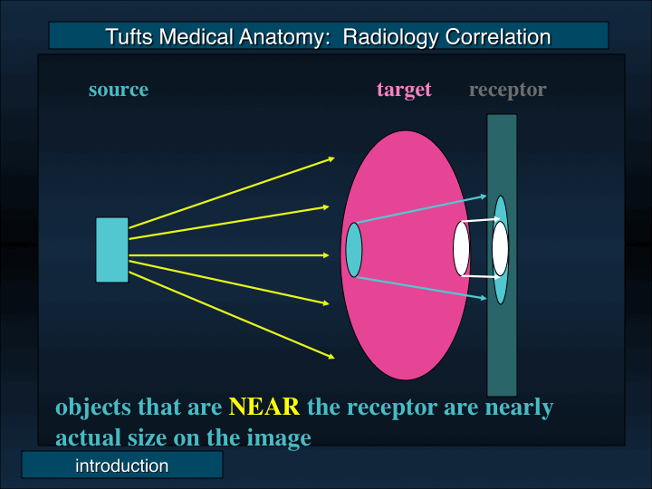 Slide0010