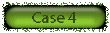 case4